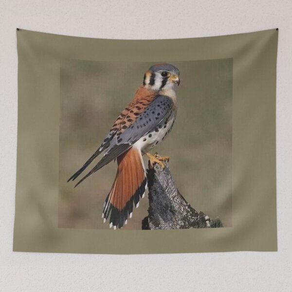 Item preview, Brown bird designed and sold by Moni3572.