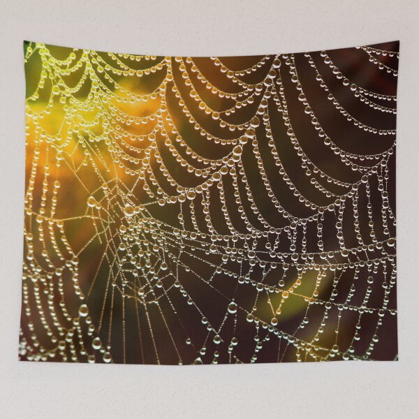 Item preview, Web Cobweb designed and sold by Irina Polyanskaya.