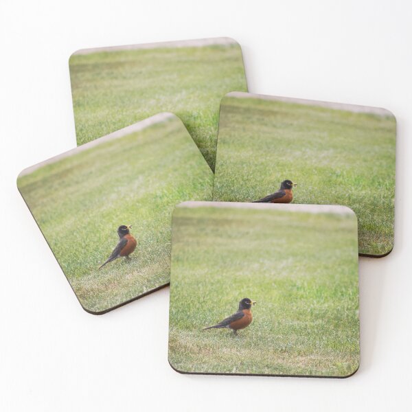Item preview, Robin Gathering Breakfast designed and sold by KTrott-Photos.