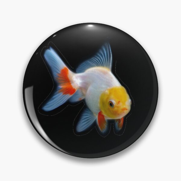 Item preview, Baby Tri colour Oranda Goldfish designed and sold by GregDorney.