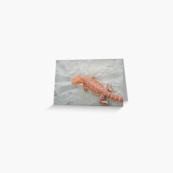 bearded dragon Greeting Card