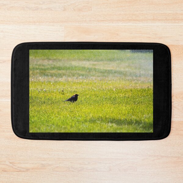 Item preview, Blackbird Bathing in a Sprinkler  designed and sold by KTrott-Photos.
