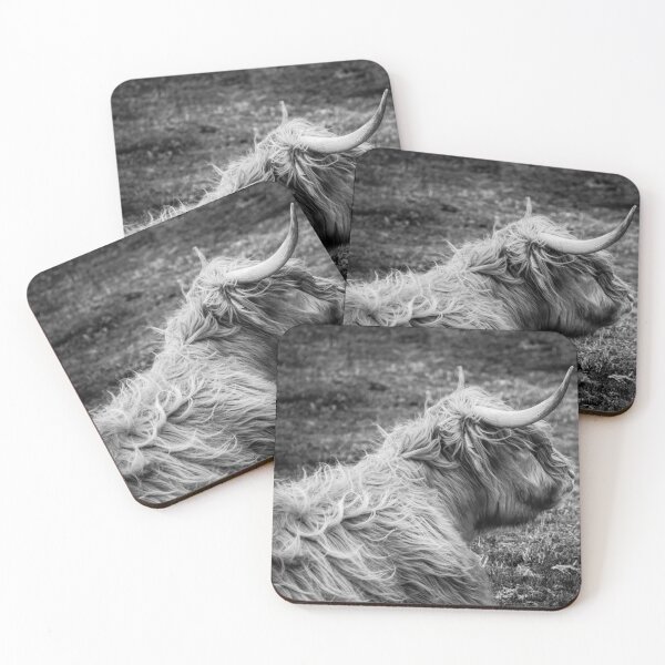 Item preview, Highland Coo, Scottish Borders designed and sold by yourscotborders.
