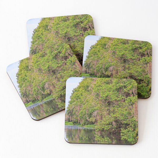 Item preview, Colorful Swamp Waterway designed and sold by KbytesOfJax Outdoor and Nature.