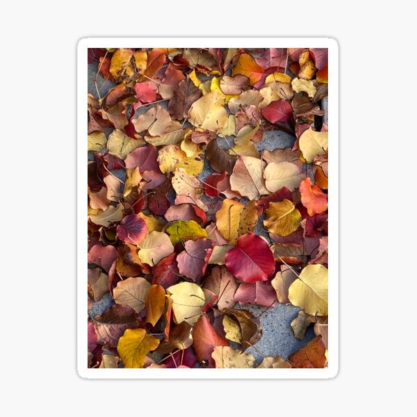Fallen Leaves Sticker