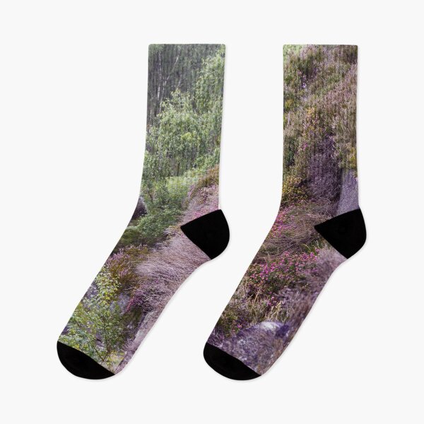 Aperçu de l'œuvre Floraison de bruyère dans le Peak District créée et vendue par Wetrain.