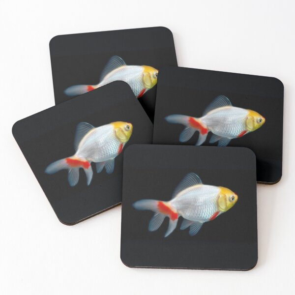 Item preview, Cute Baby Oranda Goldfish! designed and sold by GregDorney.