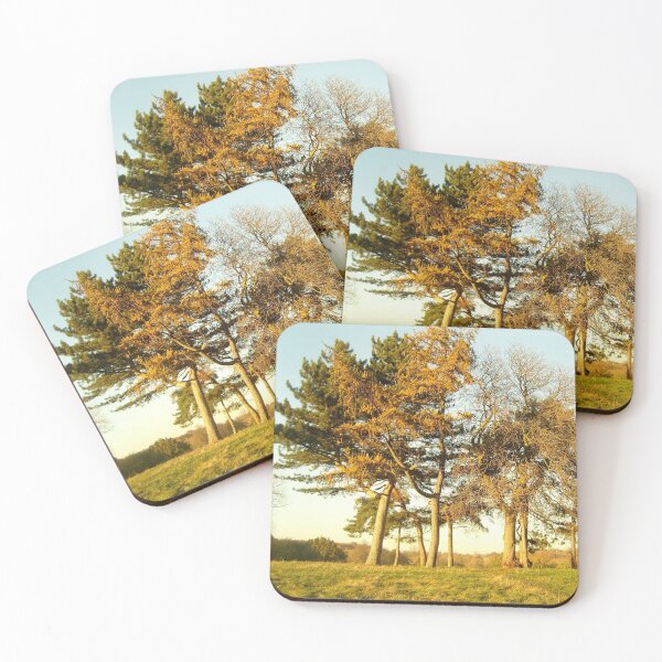 Item preview, Rustic Woodland | Hampstead Scenery | London Nature | Tall Trees designed and sold by Robert Joseph.