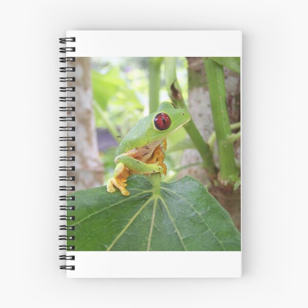 Item preview, red eye frog designed and sold by TropicVibes260.