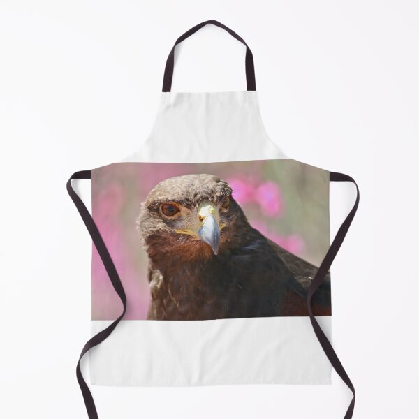 Item preview, Harris Hawk portrait designed and sold by RichImage.