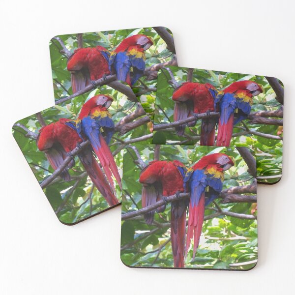 Item preview, Scarlet Macaws designed and sold by TropicVibes260.