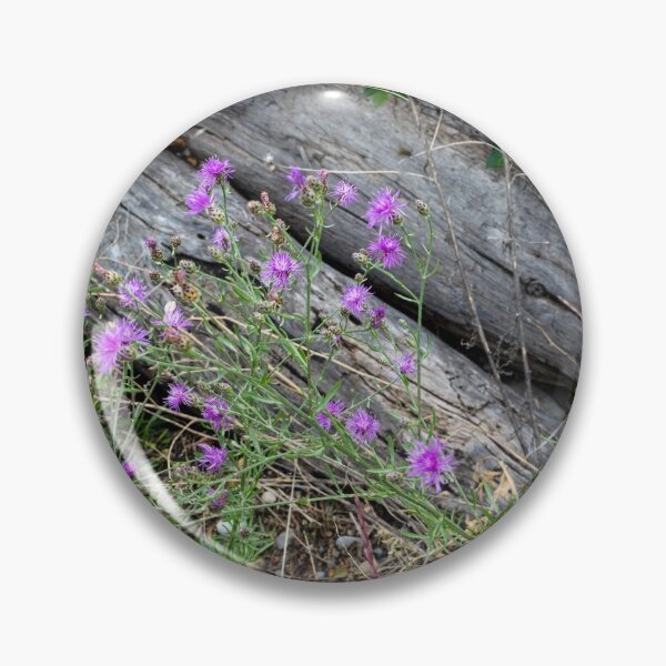 Item preview, Rustic flowers designed and sold by CanadianWild418.
