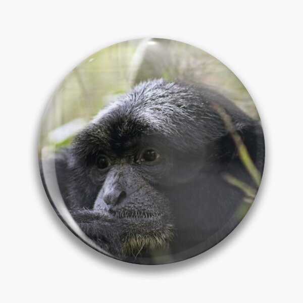 Item preview, Misty Monkey Daydreams designed and sold by KbytesOfJax Outdoor and Nature.