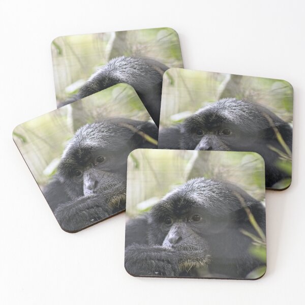 Item preview, Misty Monkey Daydreams designed and sold by KbytesOfJax Outdoor and Nature.