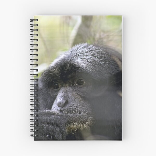 Artikelvorschau, Tagträume von Misty Monkey entworfen und verkauft von KbytesOfJax Outdoor and Nature.
