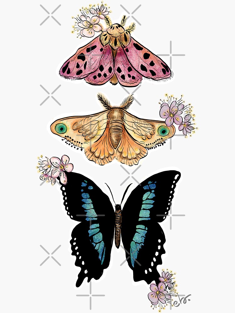 Butterflies & Moth with Blooms by ebozzastudio