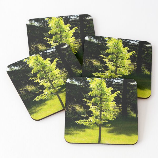 Item preview, Little tree in the woods designed and sold by CanadianWild418.