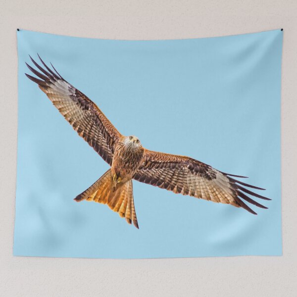 Item preview, Red Kite (Milvus milvus) designed and sold by chuckirina.