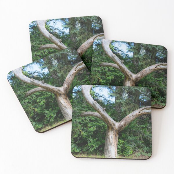 Item preview, Acrobatic Dead Bur Oak designed and sold by CanadianWild418.