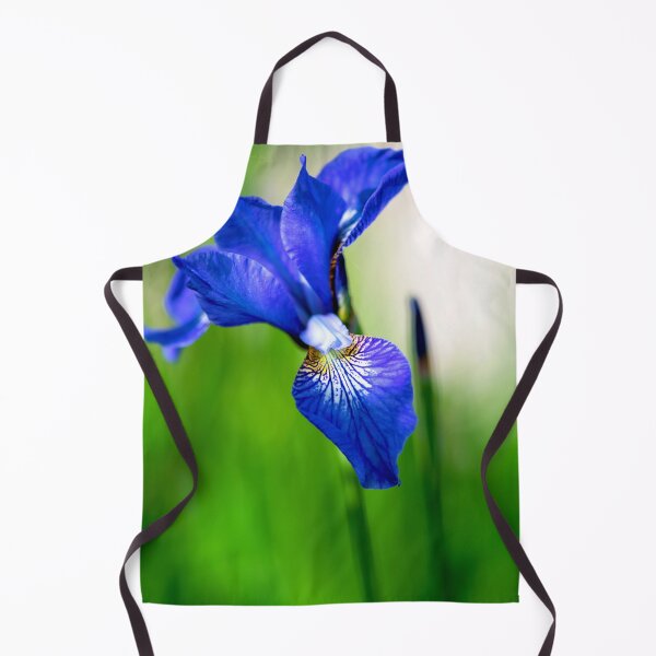 Item preview, Hanging Low designed and sold by DoodleBugImages.