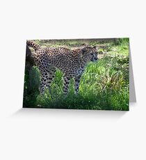 Marking my territory Greeting Card