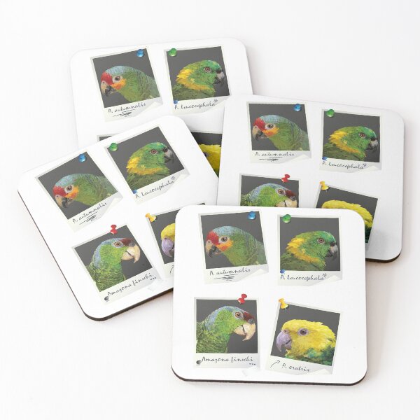 Item preview, Amazon parrots designed and sold by obscurite.