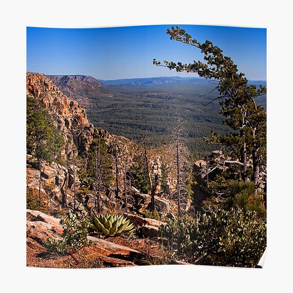 On the Edge of the Mogollon Rim Poster