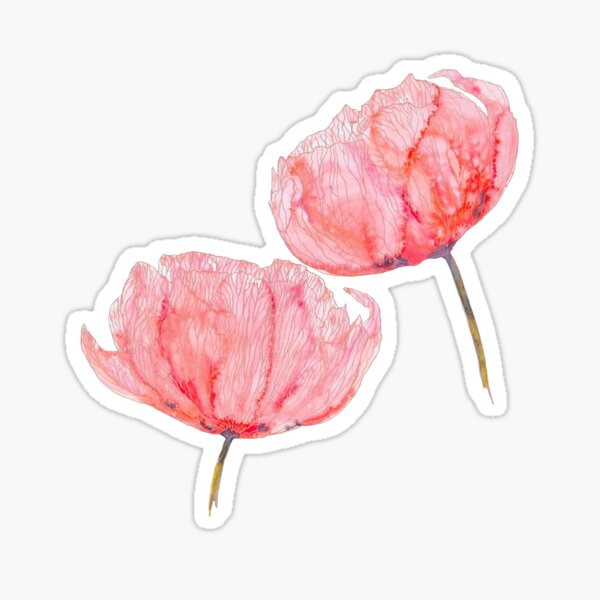 Red Watercolor Flowers Sticker