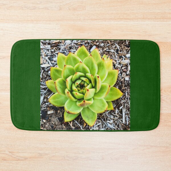 Item preview, Beautiful Green Aloe designed and sold by Thaddeus Zajdowicz.