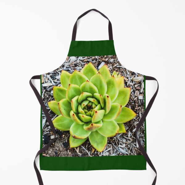 Item preview, Beautiful Green Aloe designed and sold by Thaddeus Zajdowicz.
