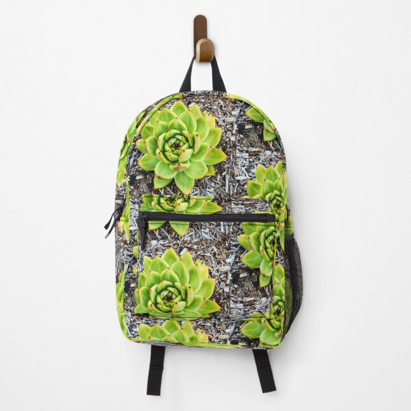 Item preview, Beautiful Green Aloe designed and sold by Thaddeus Zajdowicz.