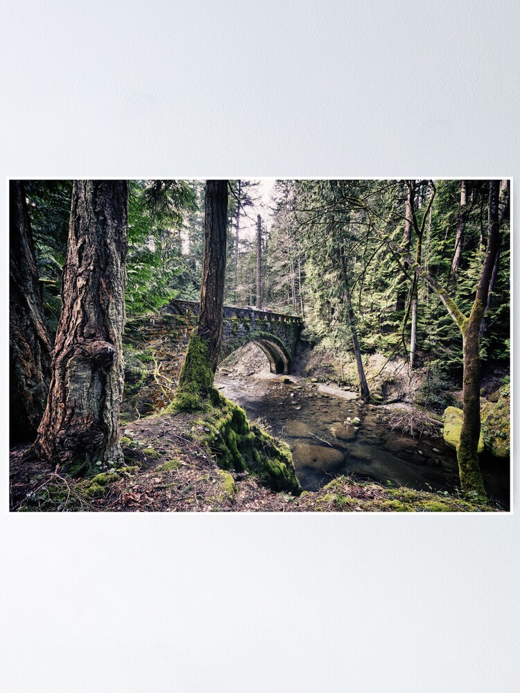 Stone Bridge Over A Creek In The Forest Wall Art The Old Bridge Poster By Visionitaliane Redbubble