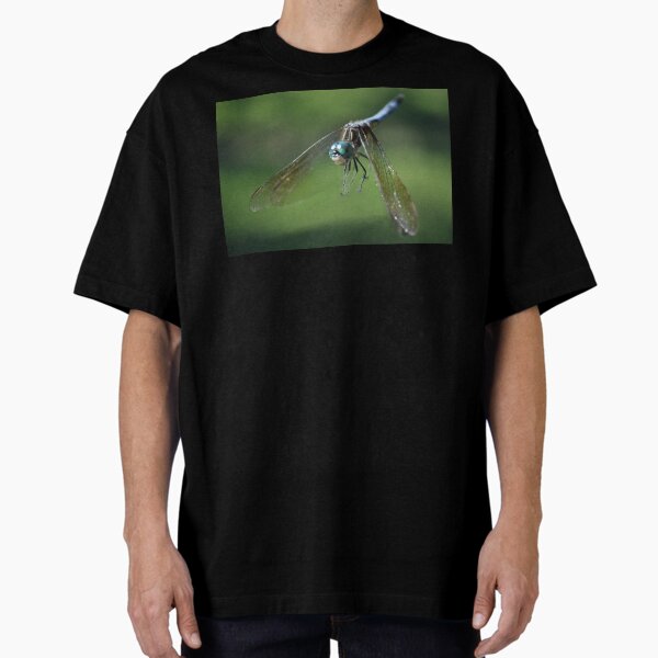 A Fly_By Greeting Oversized T-Shirt