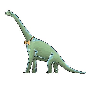 best knots to tie something down