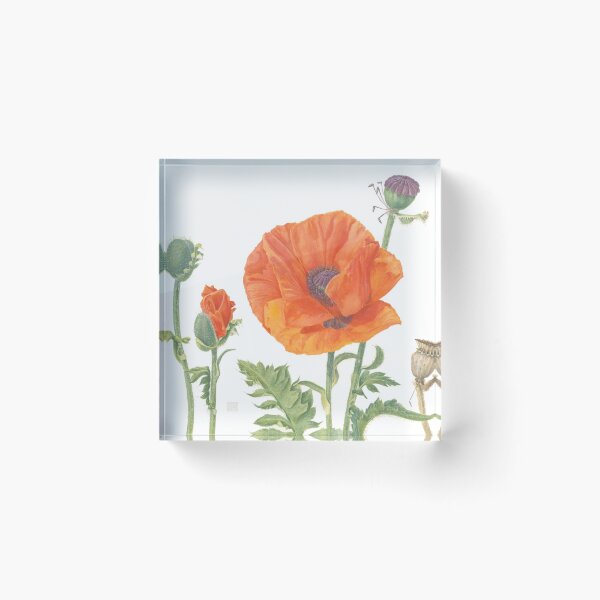 Item preview, Poppy | Papaver orientale designed and sold by Shiere.