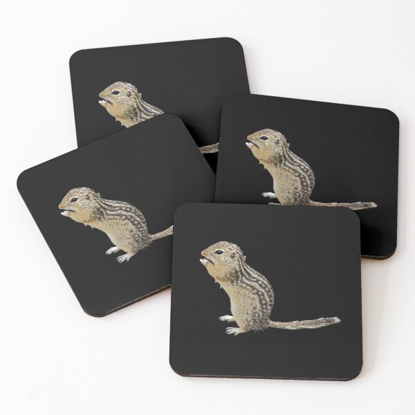 Item preview, Thirteen-lined Ground Squirrel Color Print  designed and sold by designsasstultd.