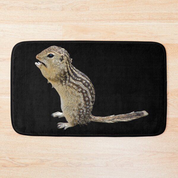 Item preview, Thirteen-lined Ground Squirrel Color Print  designed and sold by designsasstultd.