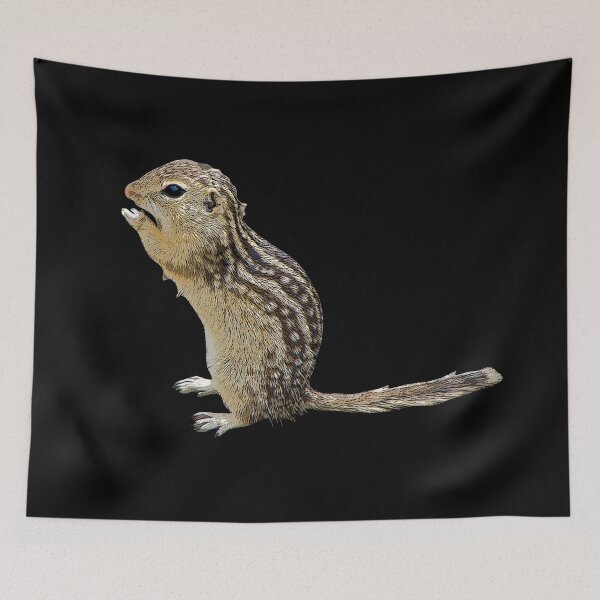Item preview, Thirteen-lined Ground Squirrel Color Print  designed and sold by designsasstultd.