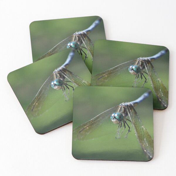 Item preview, A Fly_By Greeting designed and sold by michaelasamples.