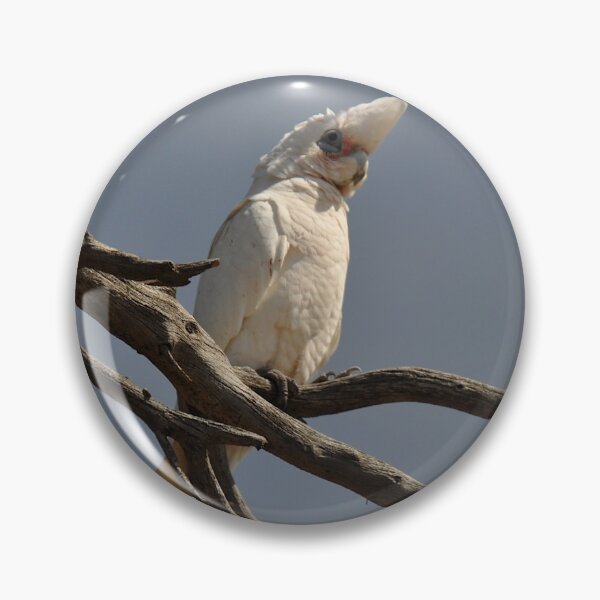 Item preview, Cocky, Port Elliot, Australia 2019 designed and sold by muz2142.