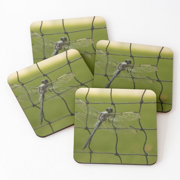Item preview, Dragonfly Net designed and sold by chaze-cha.