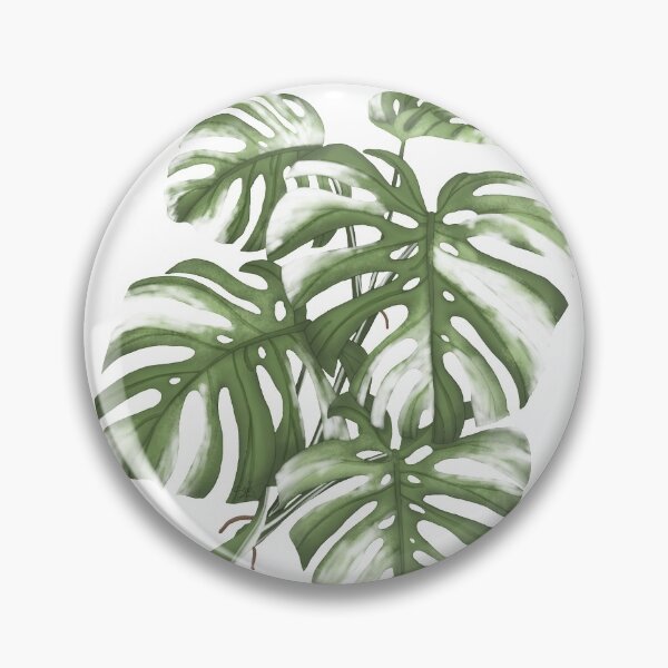Item preview, Variegated Monstera  designed and sold by -Poison-.