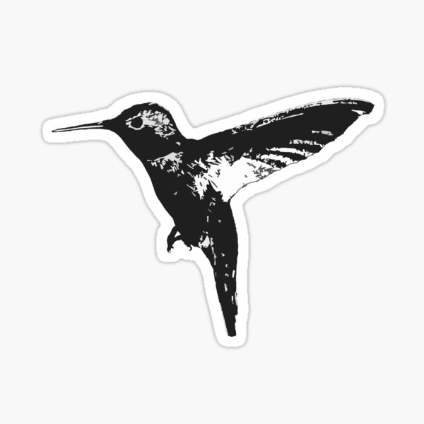 Black and White Hummingbird Sticker