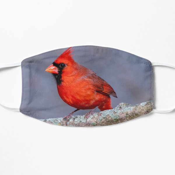 Diamond Cardinal bird mask Flat Mask