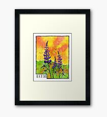 Lupin Flowers Framed Print