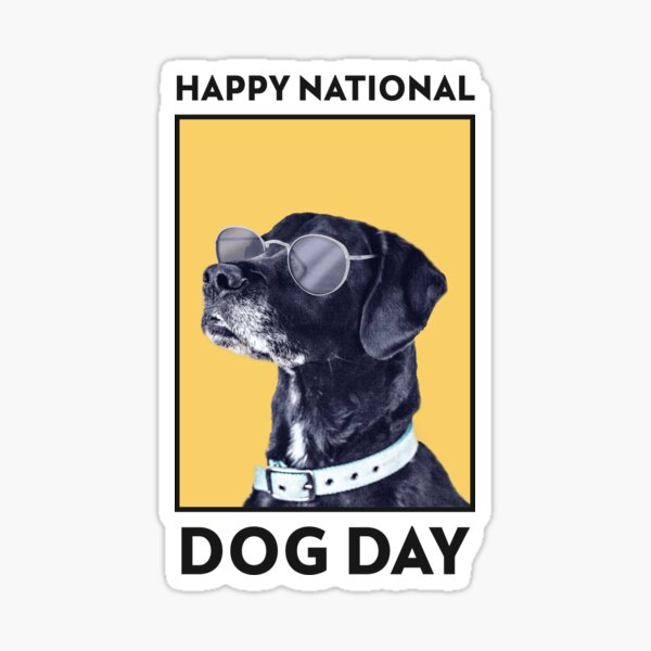 "Happy national dog day Funny Labrador Dog Gift for dog appreciation