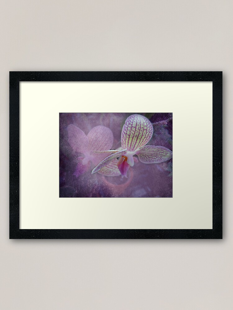 "Orchid" Framed Art Print by designingjudy Redbubble