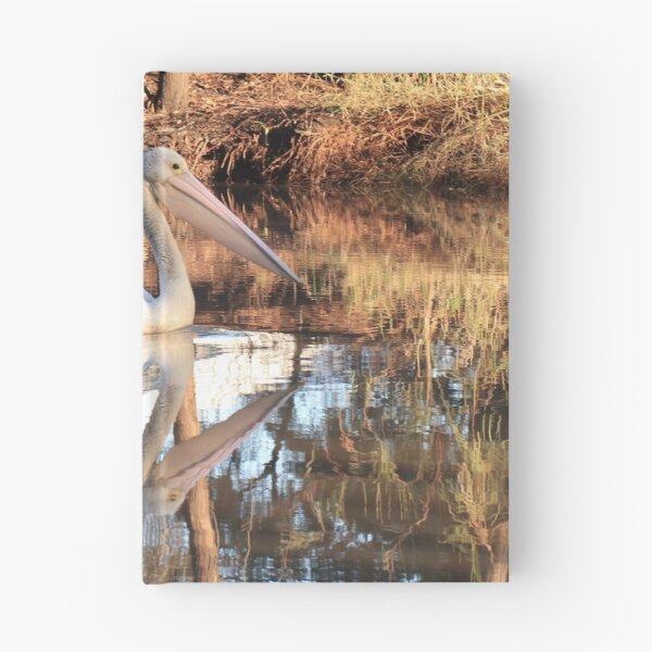 Item preview, Pelican, Myall Creek, Dalby designed and sold by Geoff Treagus.