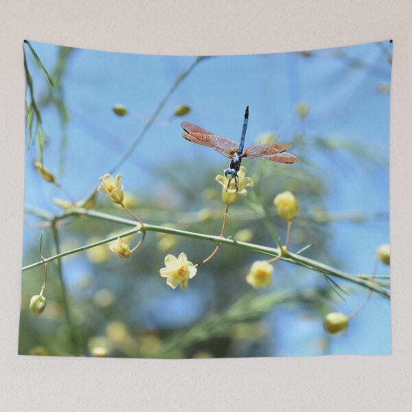 Item preview, Dragonfly Dream designed and sold by DonnaM.