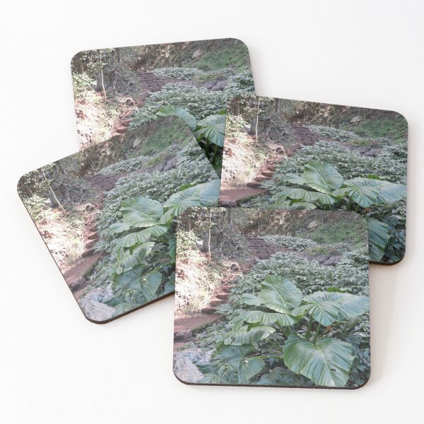 Item preview, Scenic Route, Bunya Mountains designed and sold by Geoff Treagus.